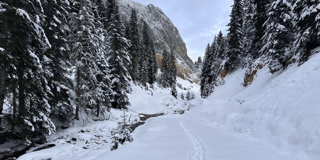 Anadolu'nun yüce dağı Ilgaz doğa tutkunlarını cezbediyor