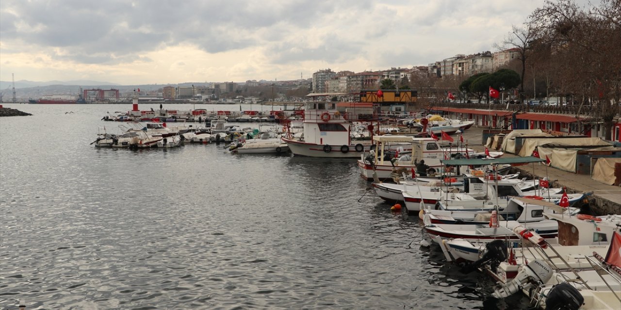 Tekirdağlı balıkçıların yüzü hamsi ve çinekop avıyla gülüyor