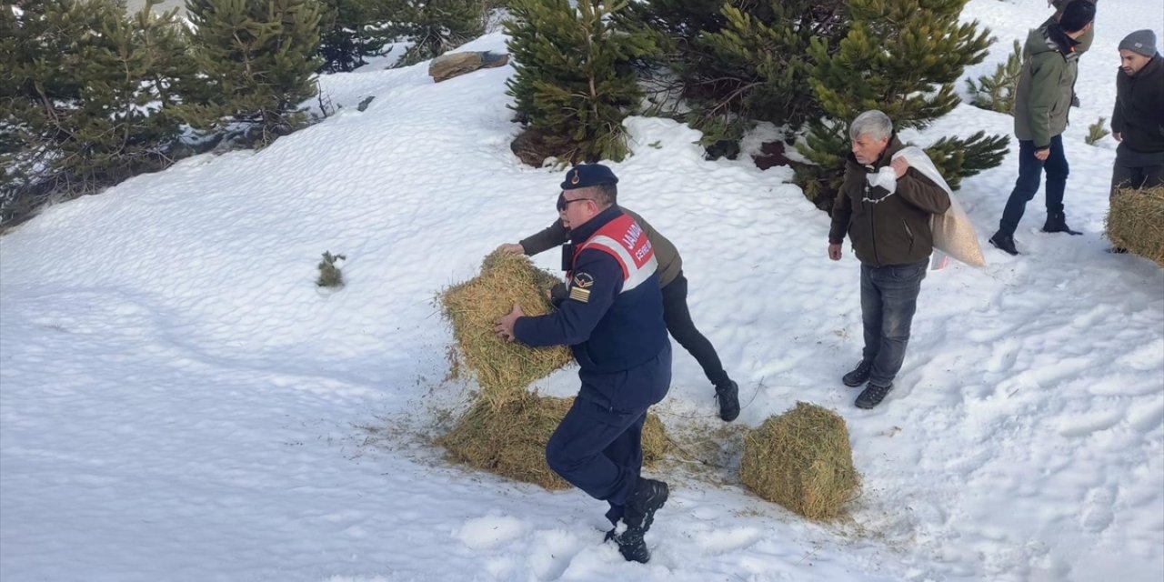 Kazdağları'nda yaban hayvanları için doğaya yem bırakıldı