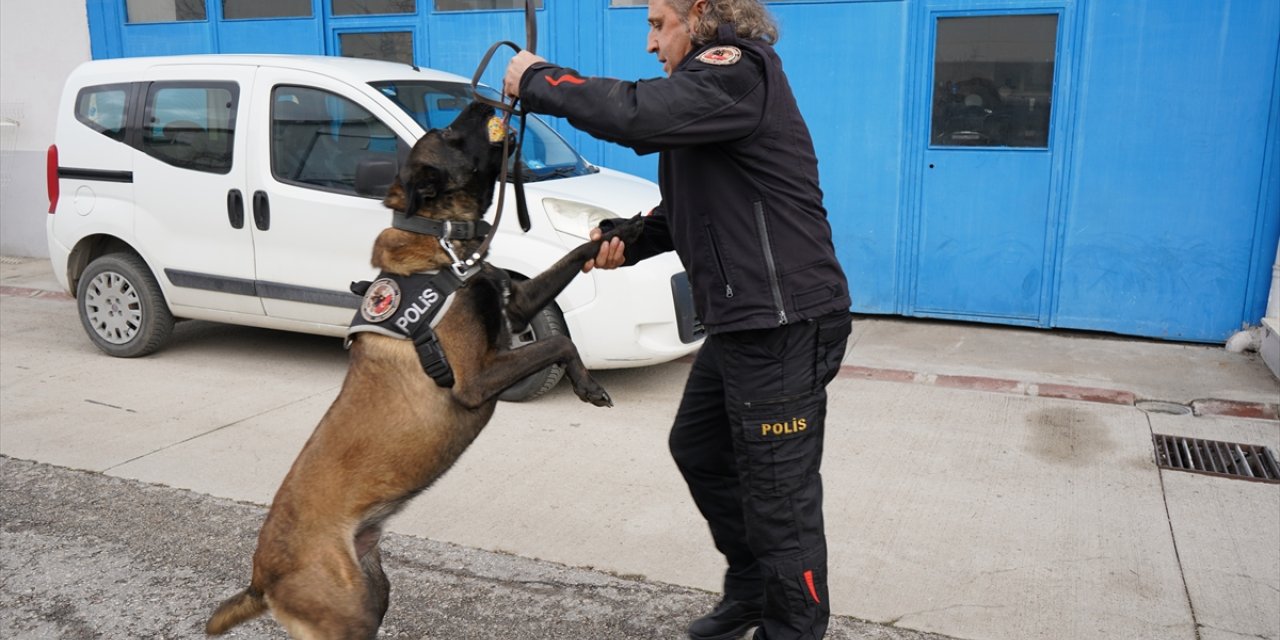 Isparta Emniyetinin göz bebeği "Milon" üçüncü kez ayın narkotik köpeği seçildi