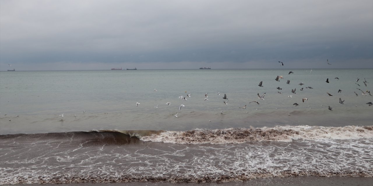 Tekirdağ'da poyraz 3 gündür deniz ulaşımını olumsuz etkiliyor