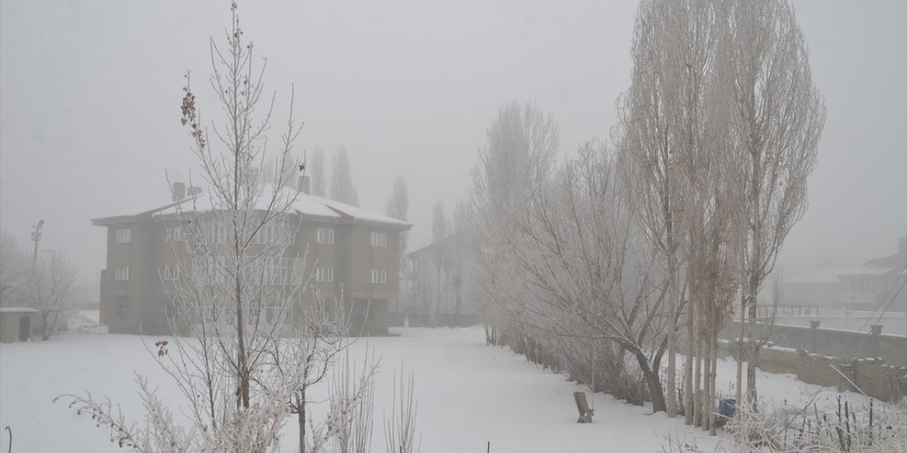 Hakkari'de soğuk hava ve sis etkili oldu