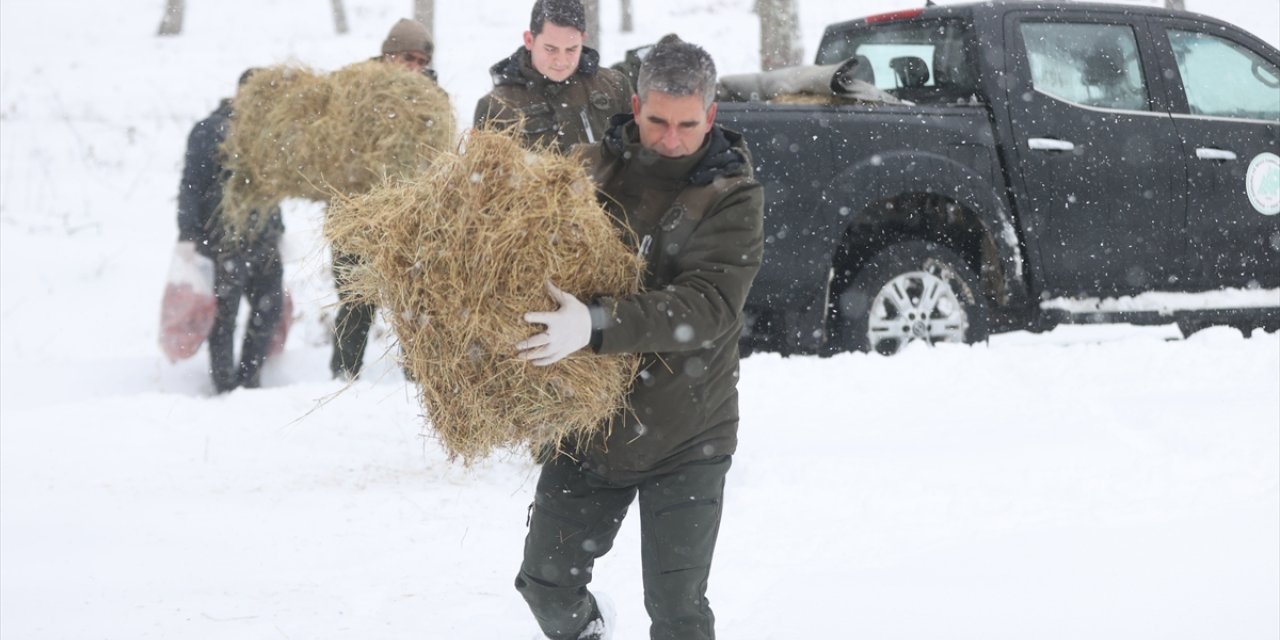 Kırklareli'nde ekipler karlı yolları aşıp yaban hayvanları için doğaya yem bıraktı