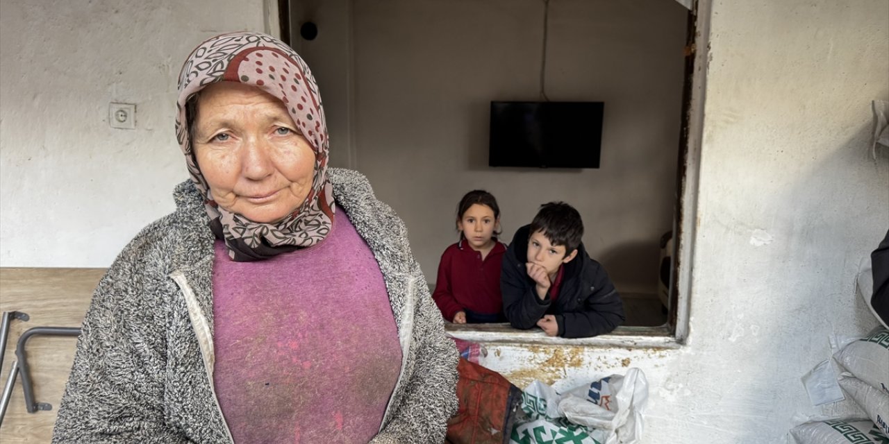 Burdur'da kaçan tosun penceresini kırarak girdiği eve hasar verdi