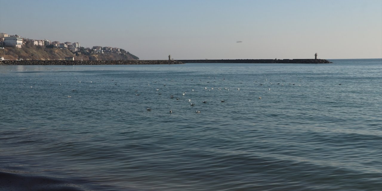 Tekirdağ'da poyraz nedeniyle 5 gündür aksayan deniz ulaşımı normale döndü