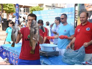 Zıpkınla Balık Avı Kulüplerarası Türkiye Şampiyonası