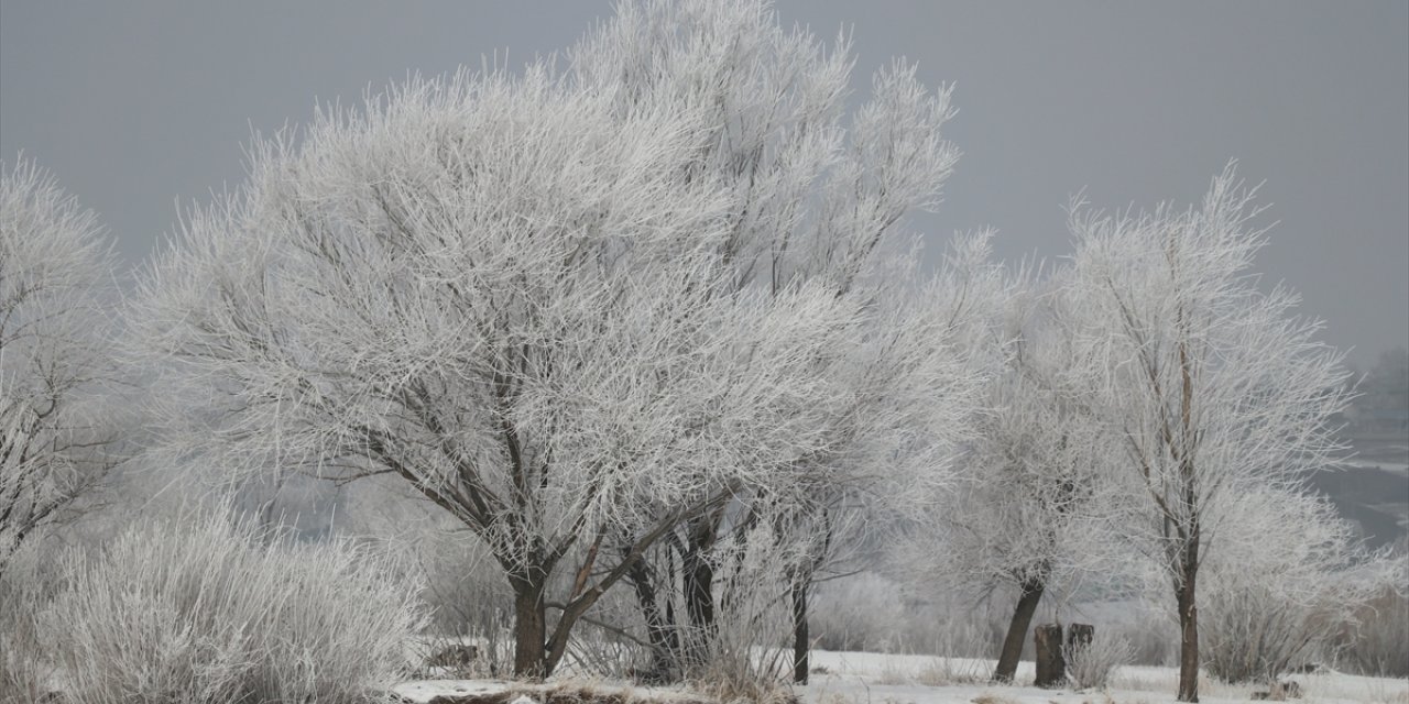 Ağrı'da soğuk hava etkili oldu