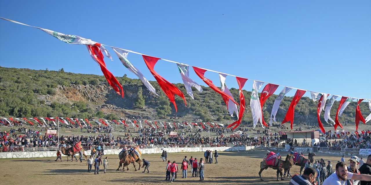 Muğla'da 24. Yatağan Deve Güreşi Festivali düzenlendi