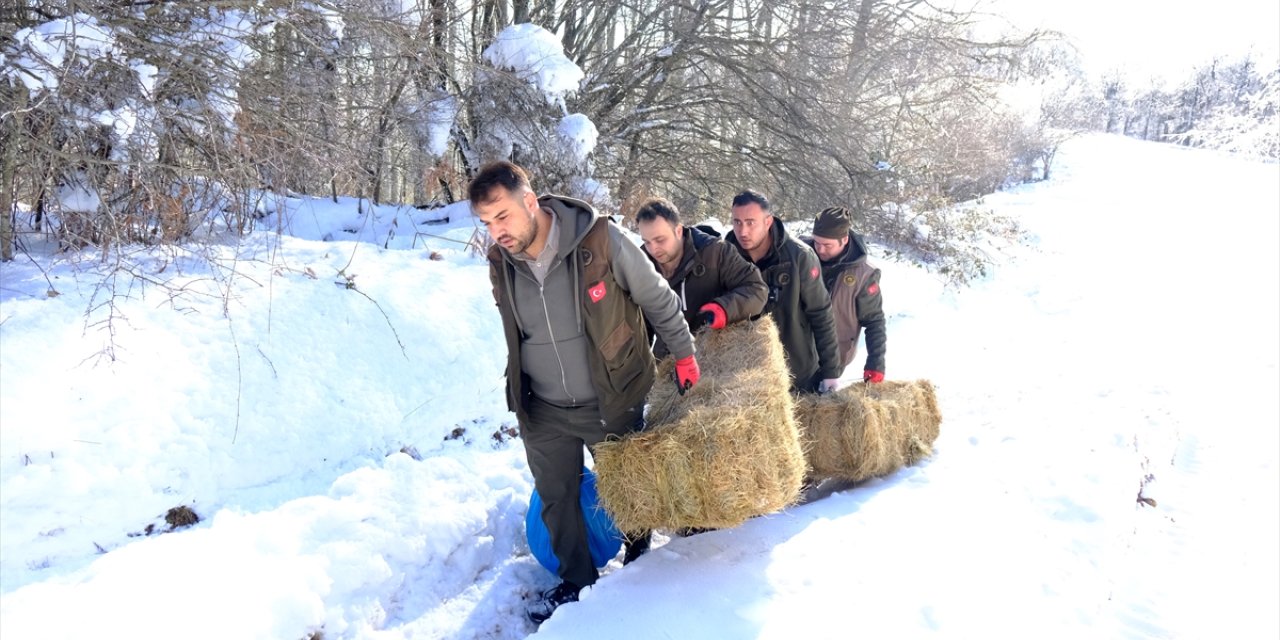 Kırklareli'nde Yıldız Dağları'ndaki yaban hayvanları için doğaya yem bırakıldı