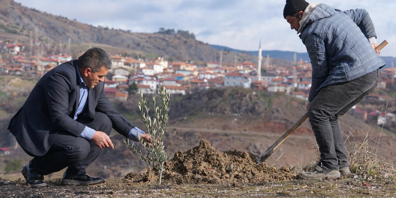 Yaylabaşı köyü doğan her bebek için dikilen fidanlarla güzelleşiyor