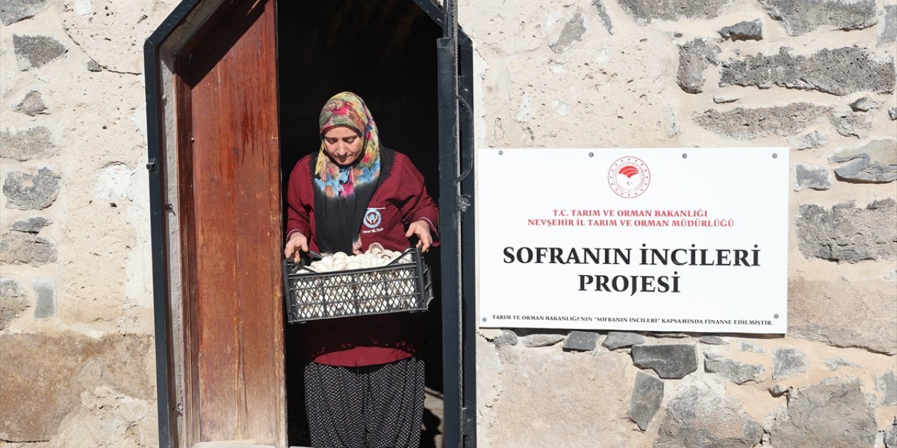 Kooperatif kuran girişimci kadınlar kaya odalarda mantar üretiyor