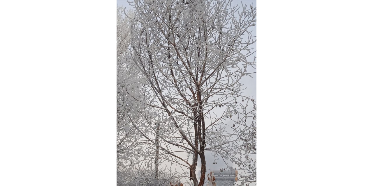 Erzurum, Kars, Ardahan ile Ağrı'da kar ve soğuk hava etkili oldu