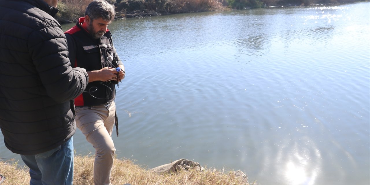 Adana'da balık ölümleri görülen Ceyhan Nehri'nde inceleme sürüyor