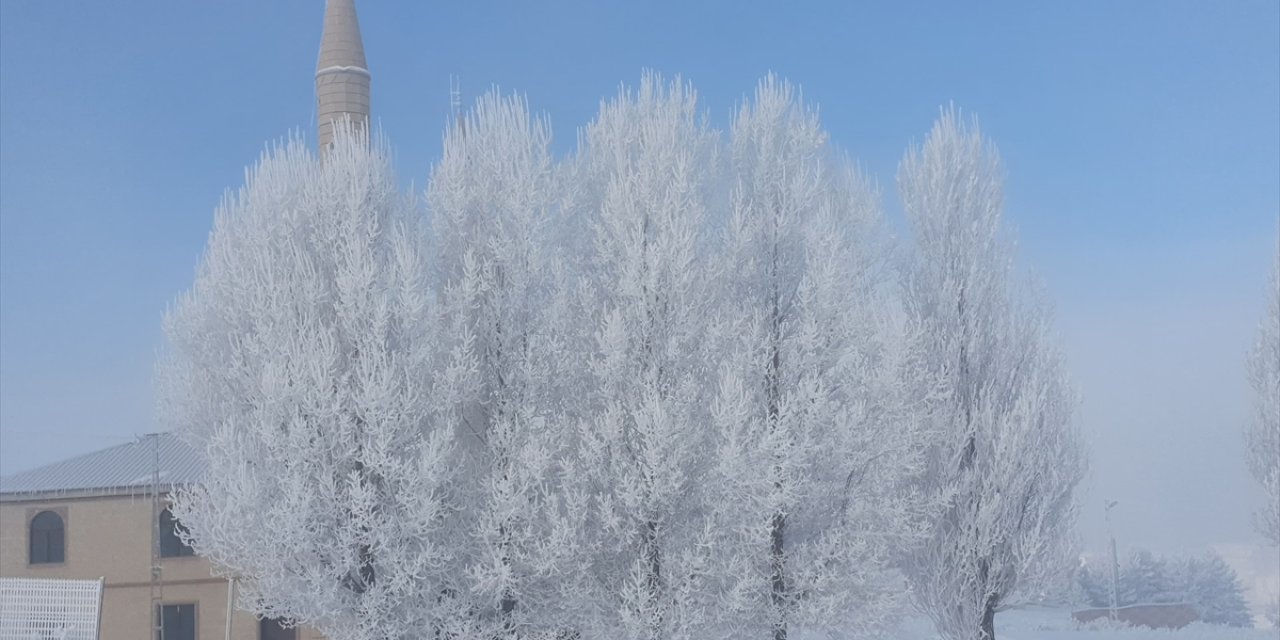Ardahan, Kars ve Ağrı'da kar yerini soğuk havaya bıraktı
