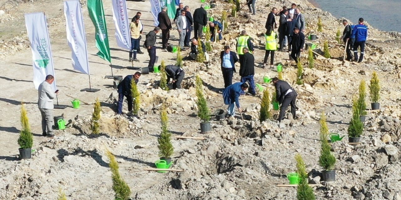 Yeniköy Kemerköy Enerji Hüsamlar eski maden sahasına muhtarlar fidan dikti