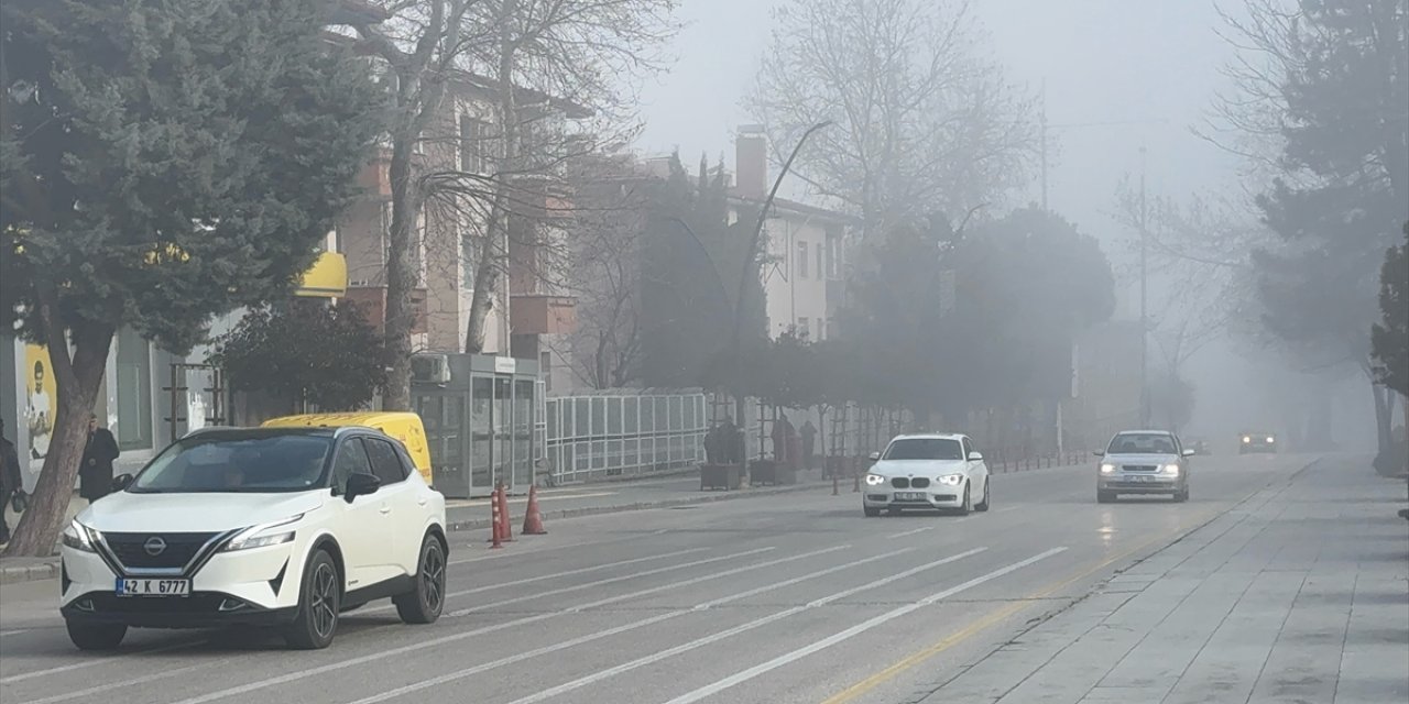 Isparta'da sis etkili oldu