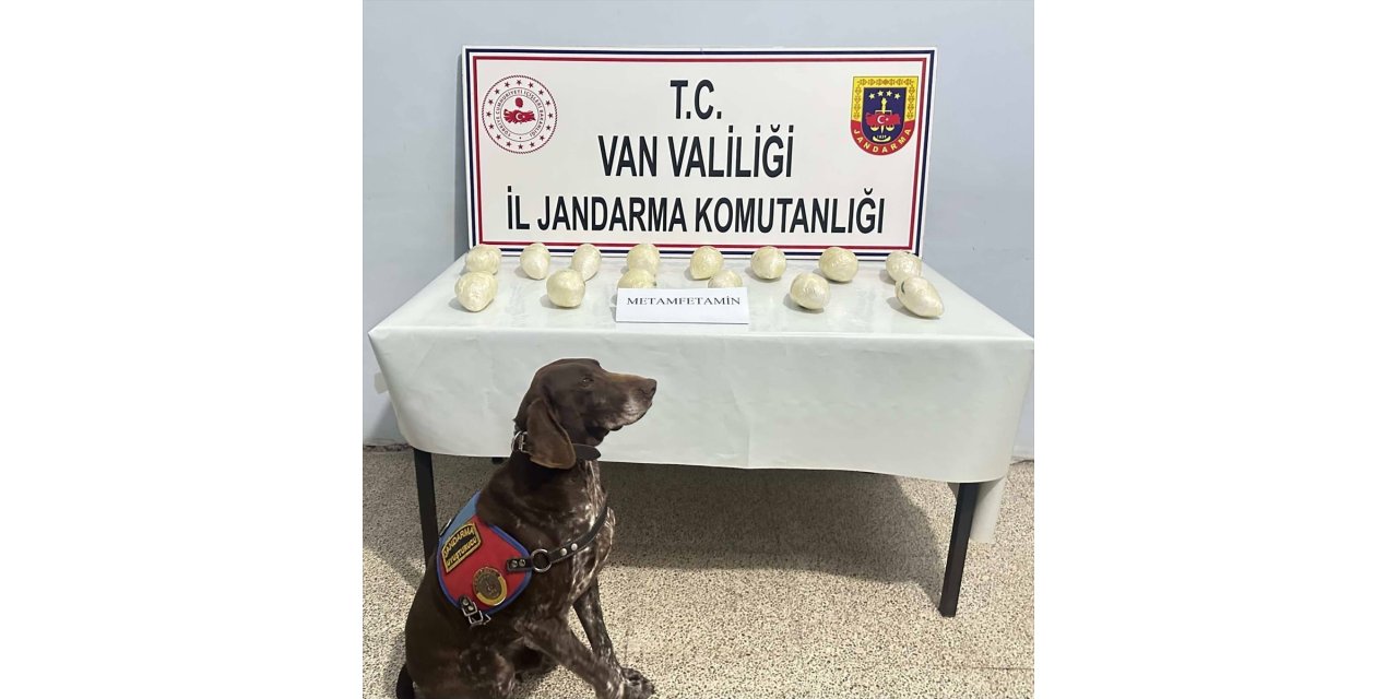 Van'da geçen ay 243 kilo 624 gram uyuşturucu ele geçirildi