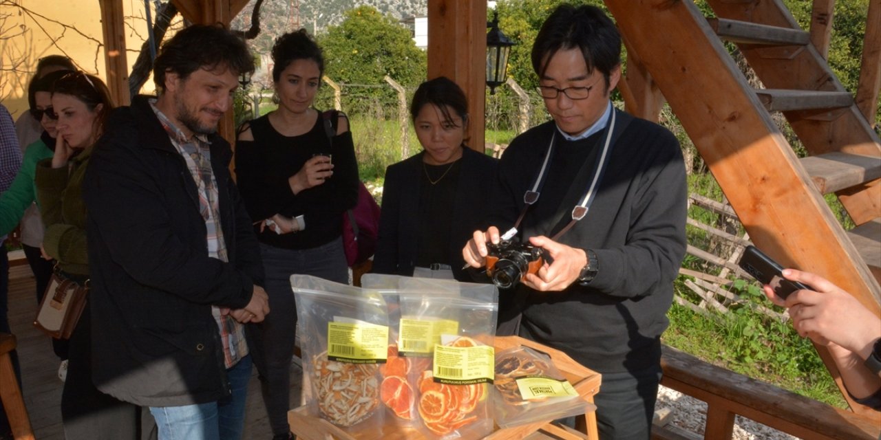 Japon heyet, Antalya'daki tarım alanlarını inceledi