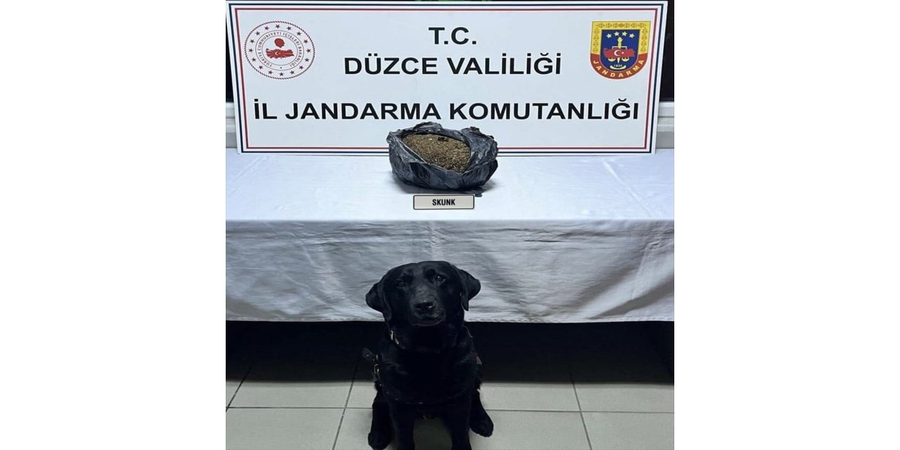 Anadolu Otoyolu'nda aracında uyuşturucuyla yakalanan şüpheli tutuklandı