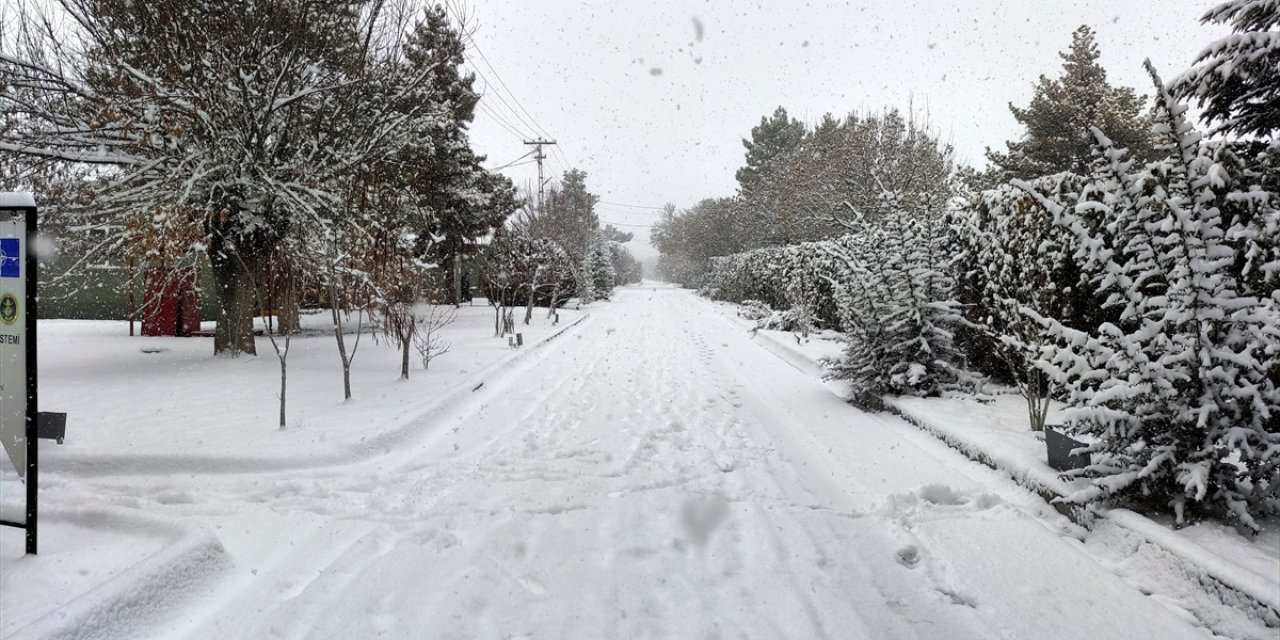Niğde'nin Bor ilçesinde kar etili oluyor