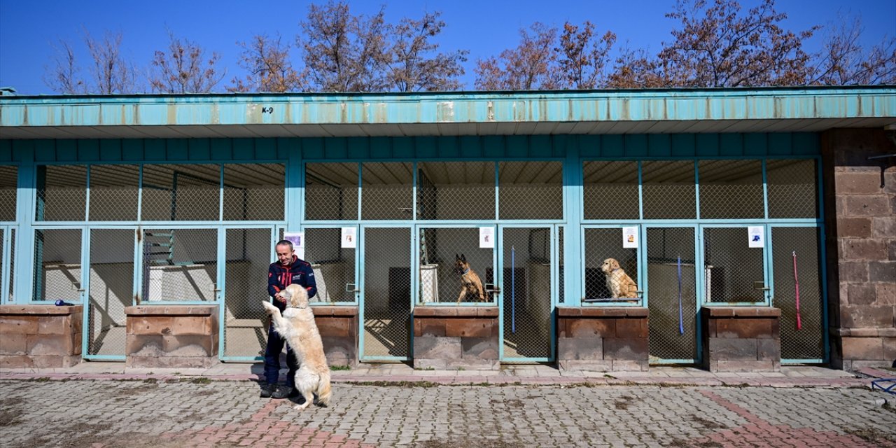 Emekliye ayrılan arama kurtarma köpeği "Poyraz", AFAD yerleşkesinde misafir edilecek