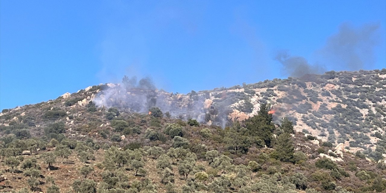 Milas'ta makilik alanda yangın başladı