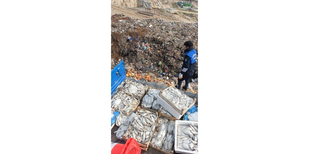 Mersin'de sağlıksız oldukları belirlenen 16 kasa balık imha edildi