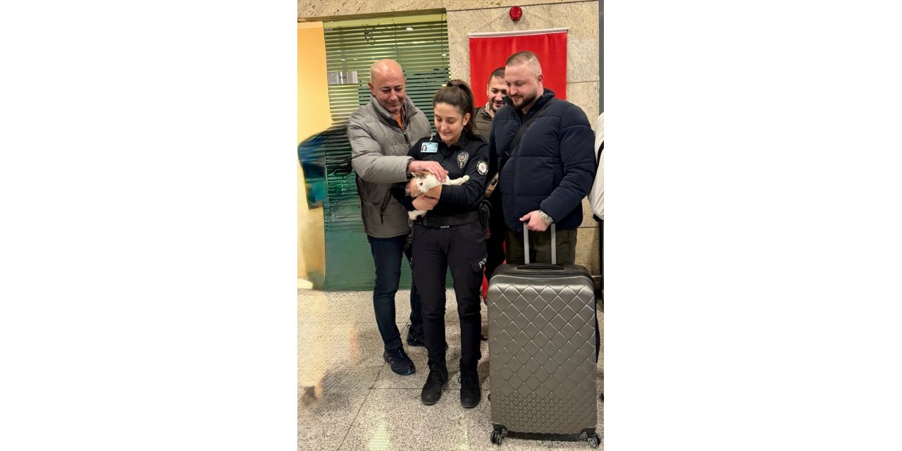 Ankara'da sahibinin otoparktaki aracında kilitli bıraktığı kedi kurtarıldı