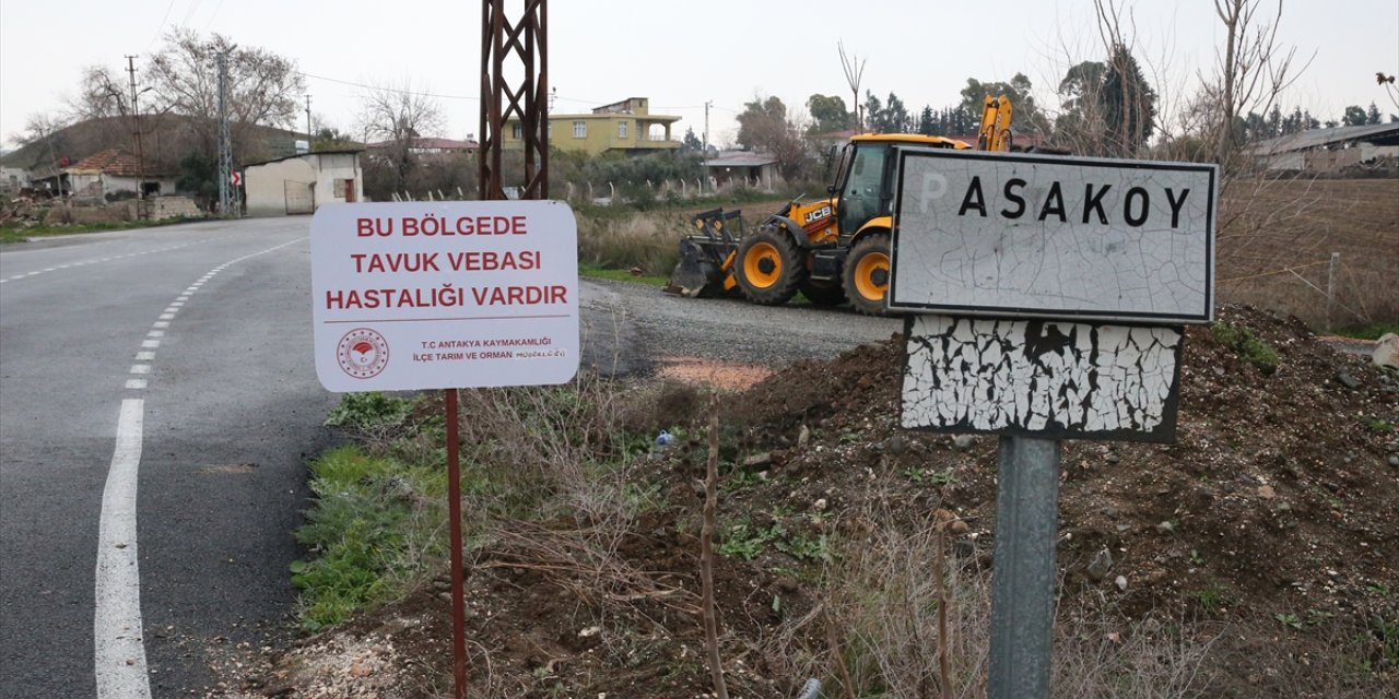 Hatay'da kuş gribi görülen mahalle karantinaya alındı