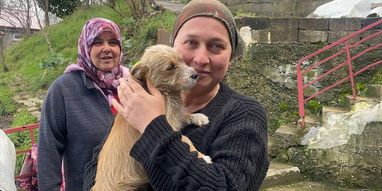 Zonguldak'ta çöp konteynerinin yanına terk edilen köpek yavrusu yuvaya kavuştu
