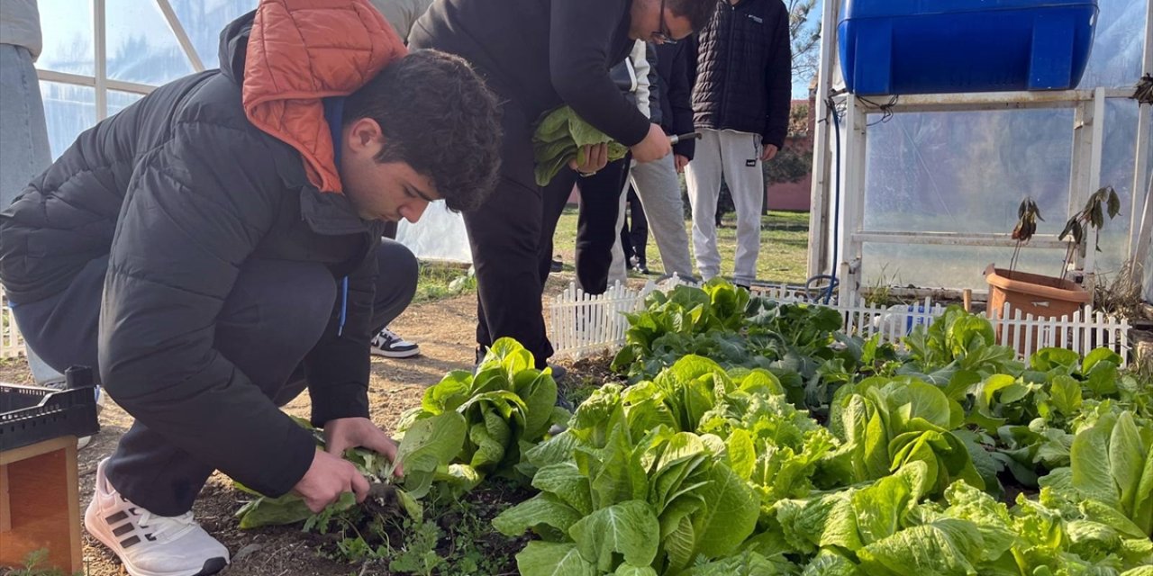 Tekirdağ'da lise öğrencileri okul bahçesinde çiftçiliği öğreniyor