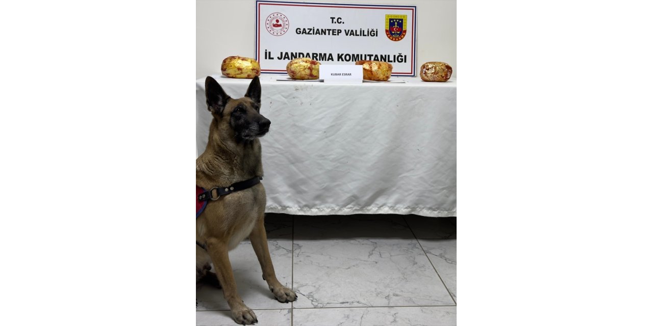 Gaziantep'te yolcu otobüsünde 3 kilo 250 gram esrar ele geçirildi