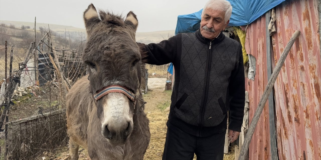 Kırsala terk edilen "Minik" adını verdiği eşeğe 21 yıldır şefkatle bakıyor