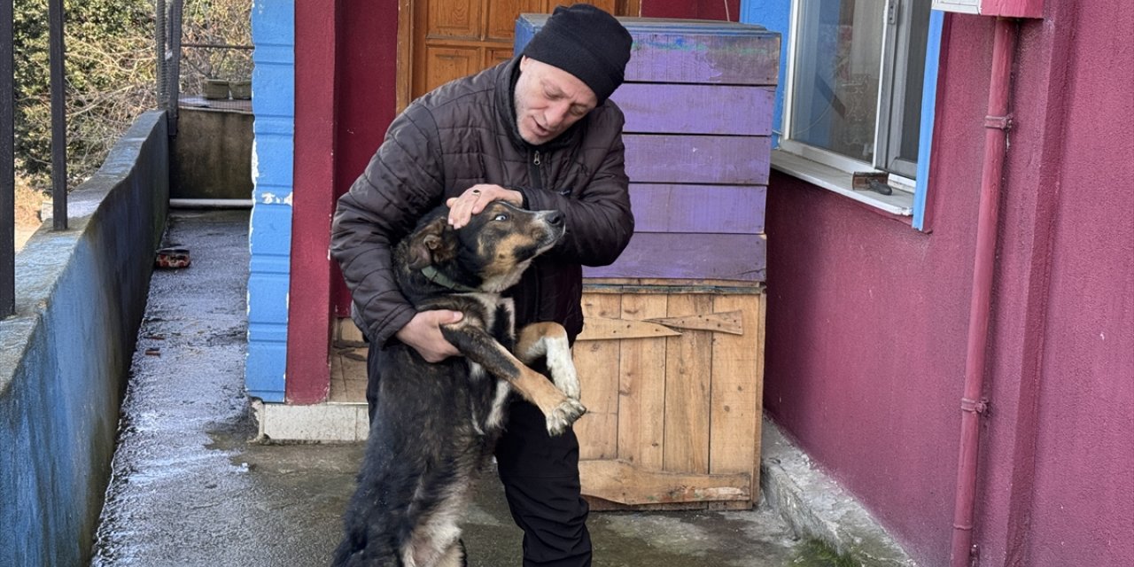 Zonguldak'ta emekli madenci, yaralı bulduğu köpeği tedavisinin ardından sahiplendi