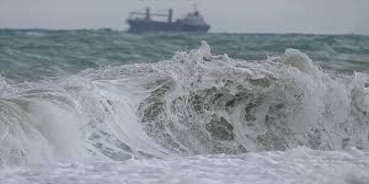Tsunami Dalgaları Pasifikte 4 Metreyi aştı