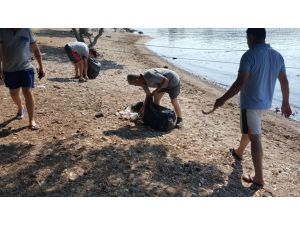 Bodrum'da kıyı temizliği etkinliği