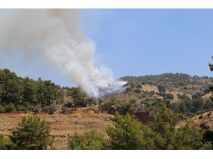 Antalya'da makilik ve ormanlık alanda yangın