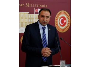 HDP İstanbul Milletvekili Ali Kenanoğlu: