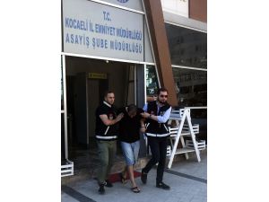 Kocaeli'de fuhuş operasyonu