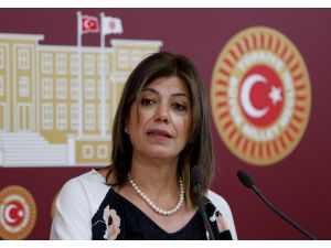 HDP Siirt Milletvekili Meral Danış Beştaş: