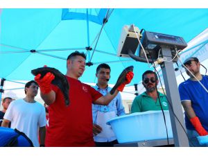 Zıpkınla Balık Avı Bireysel Türkiye Şampiyonası başladı