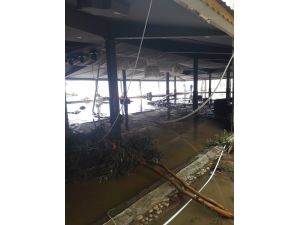 Düzce'deki su baskını ve toprak kayması