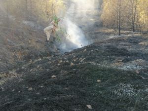 GÜNCELLEME - Gaziantep'te orman yangını