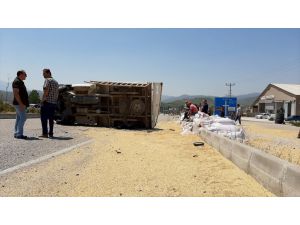 Muğla'da arpa yüklü kamyonet devrildi: 3 yaralı