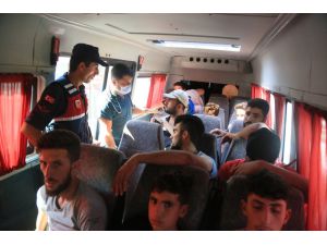 Muğla'da 12 düzensiz göçmen yakalandı