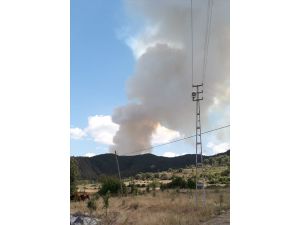 GÜNCELLEME - Sinop'ta orman yangını