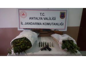 Antalya'da "fotokapanlı" uyuşturucu operasyonu