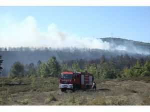 GÜNCELLEME - Kocaeli'de orman yangını