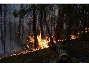 GÜNCELLEME 2 - Eskişehir'de orman yangını