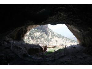 Irak'ta on binlerce yıllık Şaneder Mağarası tarihe ışık tutuyor